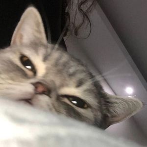 Meet your Posher, Lacey